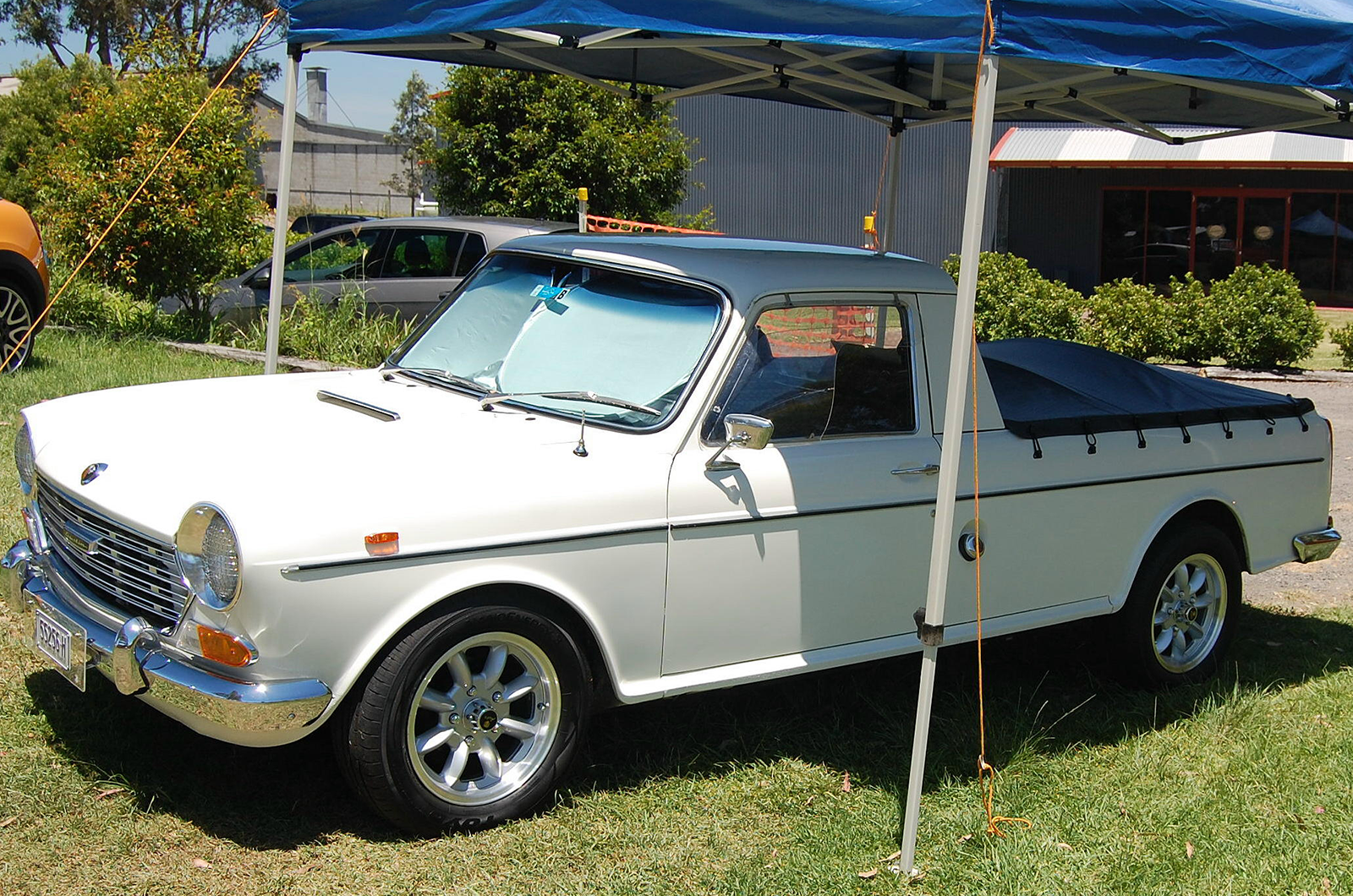 Minis shine at Australia's Minis in the Gong event