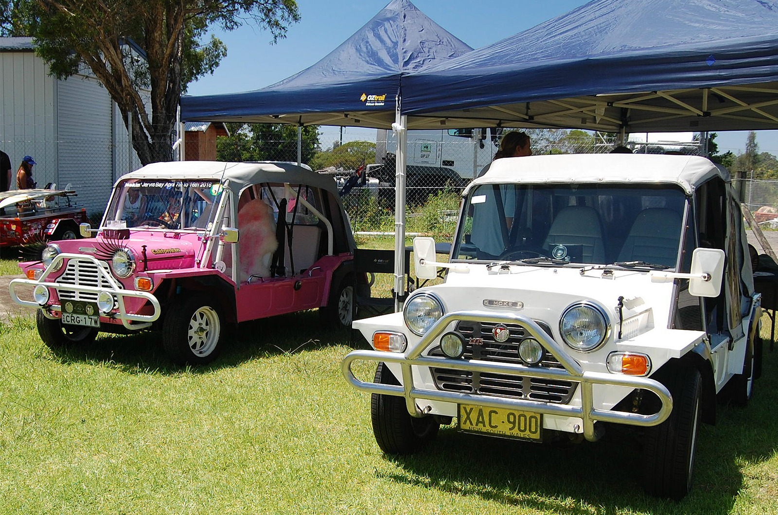 Minis shine at Australia's Minis in the Gong event
