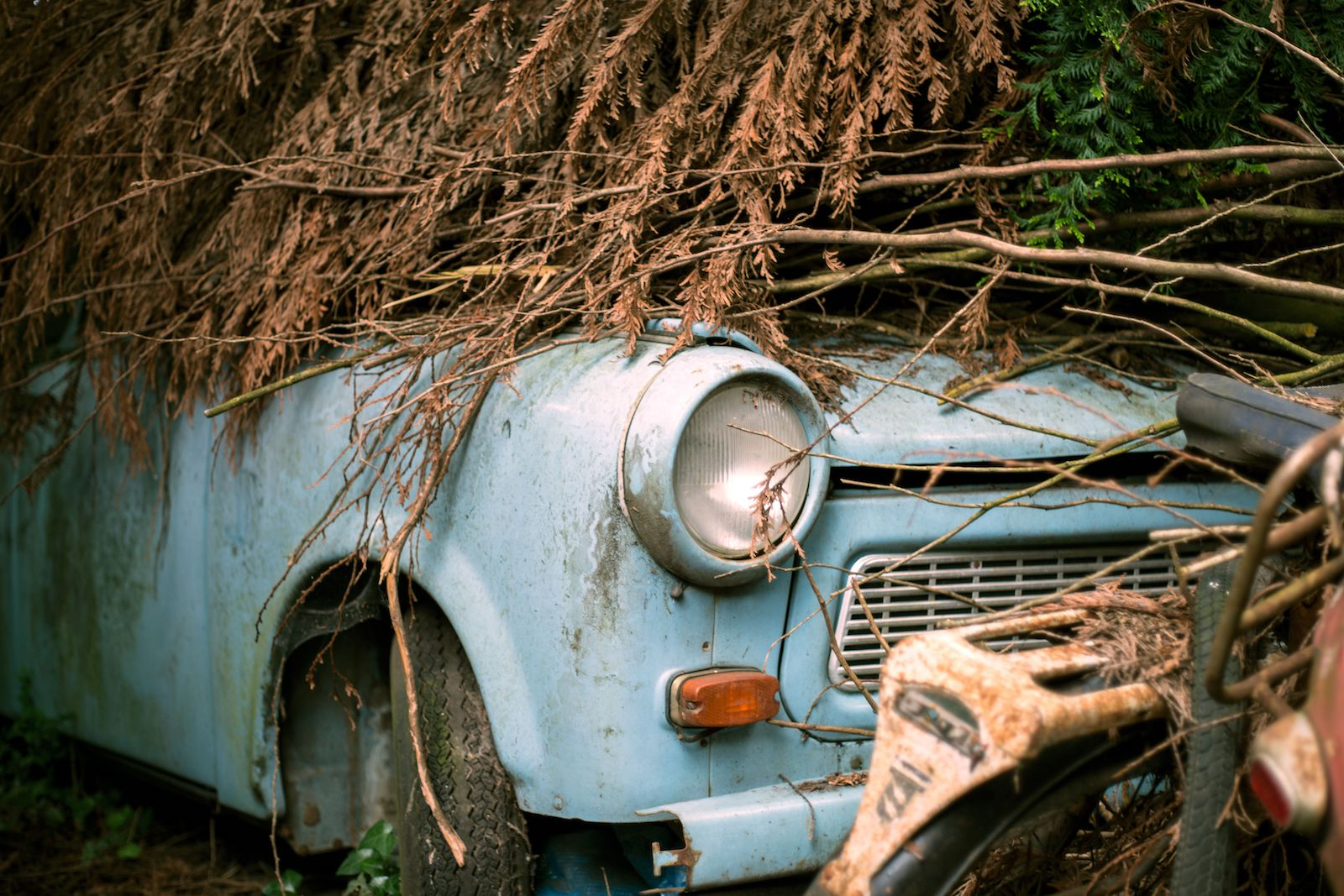 Incredible 81-car French barn-find includes a Miura