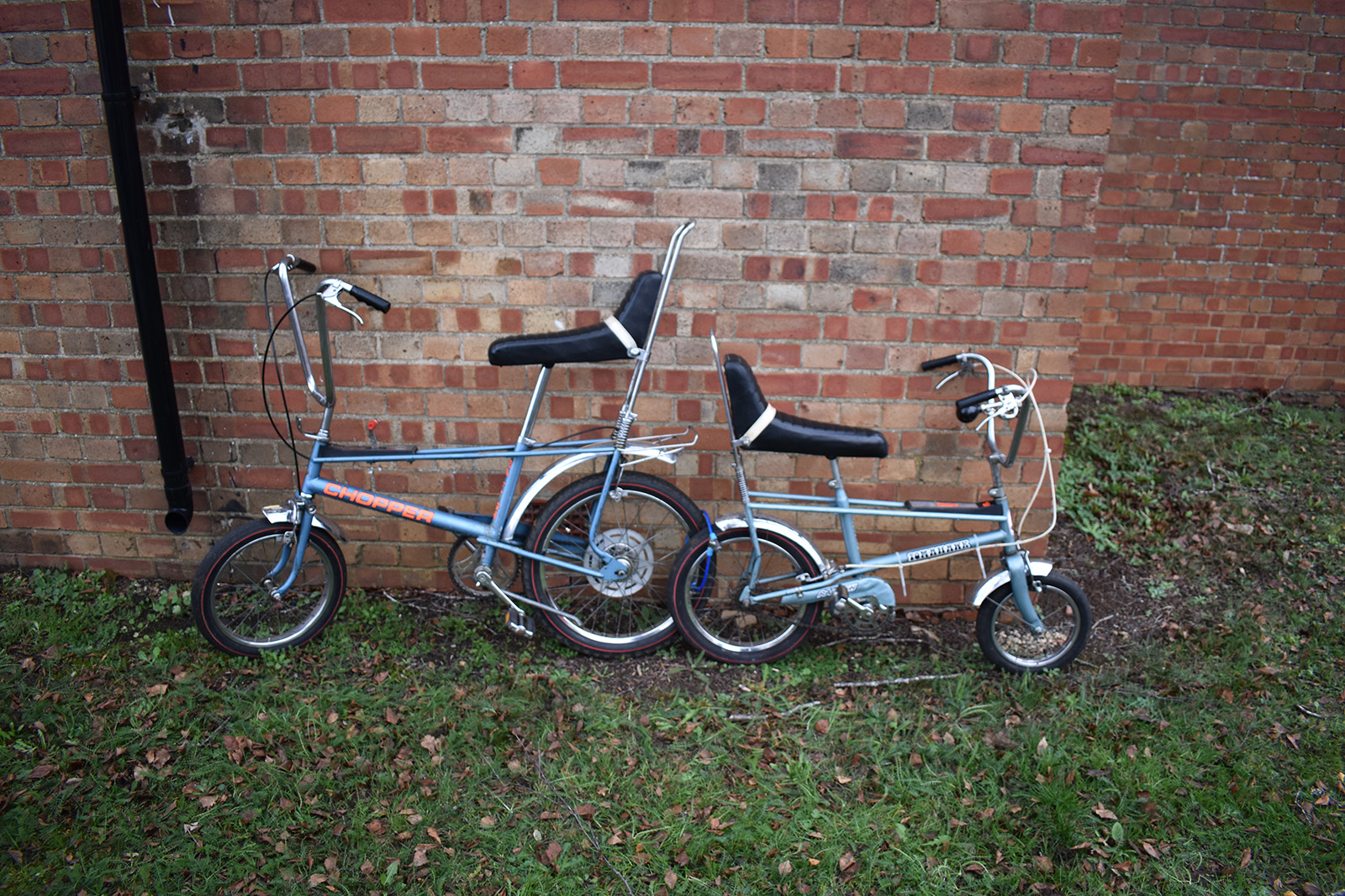 Classic & Sports Car – Sunday Scramble January 2019