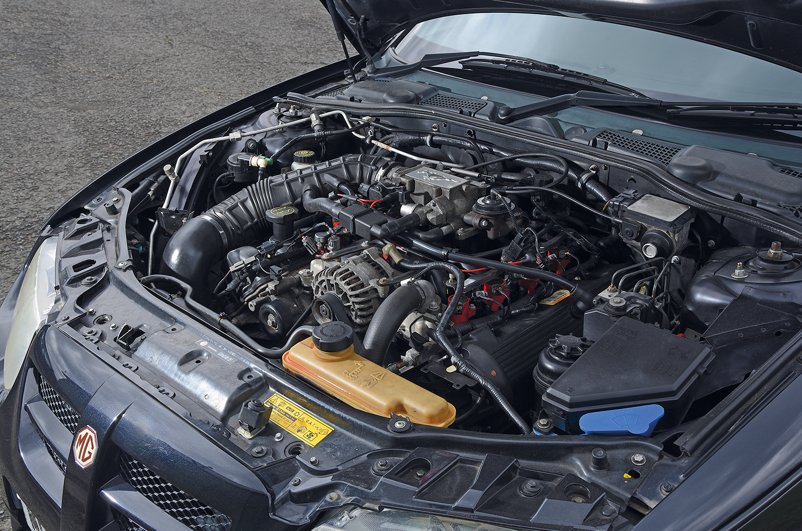 Classic & Sports Car – MG Rover’s Mustang muscle