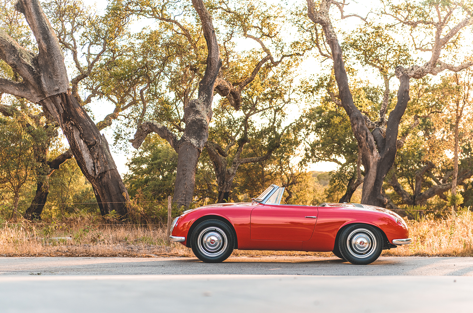 Classic & Sports Car – Porsche’s forgotten rival: meet the WD Denzel 1300