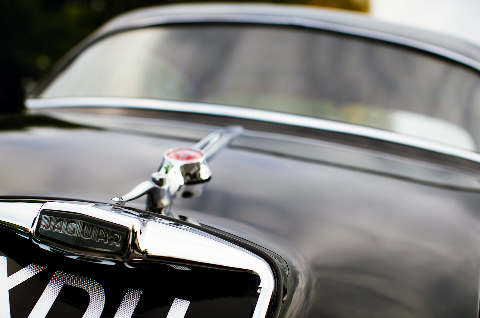 Classic & Sports Car – Midlands derby: Jensen 541R vs Jaguar XK150