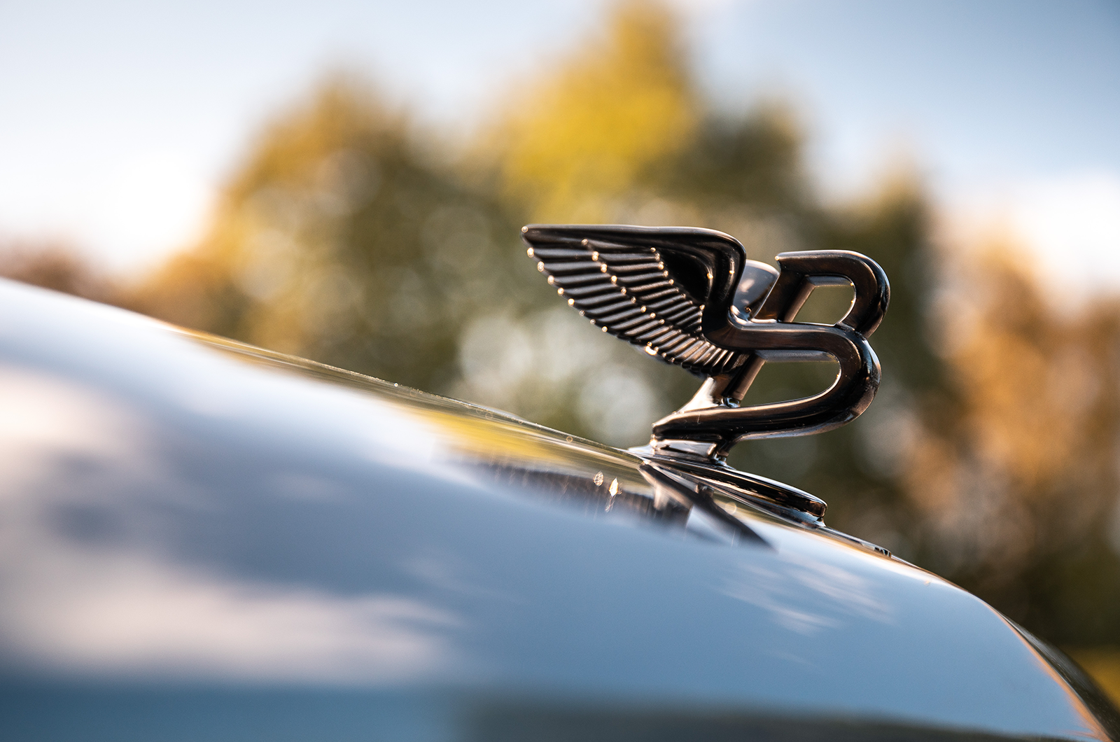 Classic &amp; Sports Car – Bentley’s heartbeat: the first and last L-series V8s