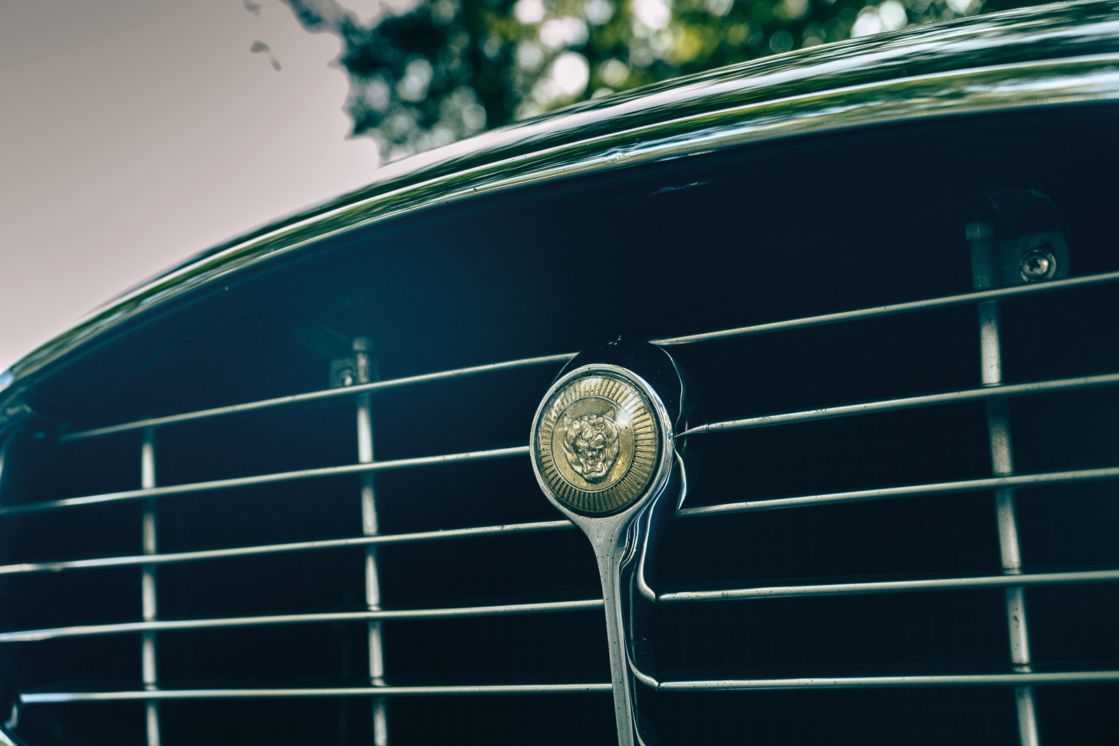 Classic & Sports Car – Diamonds are for ever: the Jaguar E-type at 60