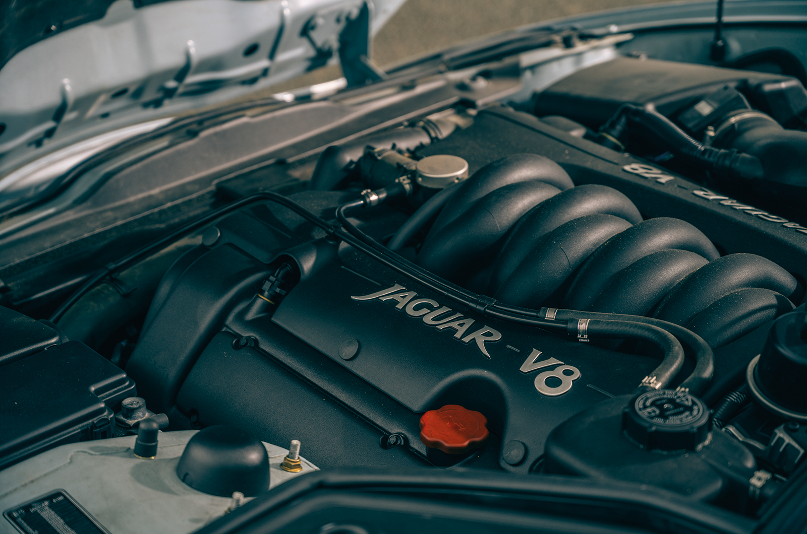 Classic & Sports Car – Big cat rescue: the Jaguar X100 at 25