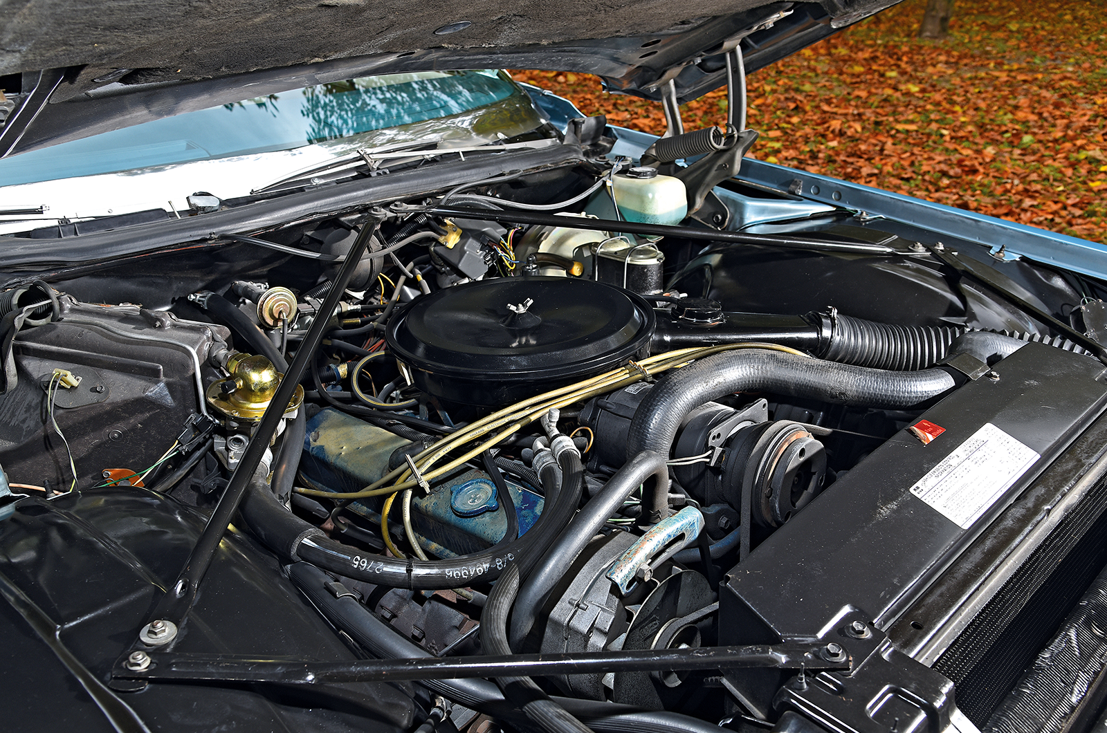 Classic & Sports Car – The wagon prince: Cadillac Castilian Fleetwood Estate Wagon