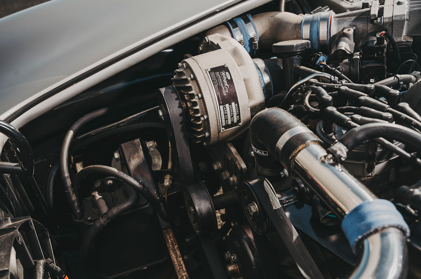 Classic & Sports Car – Cobra: the beat goes on