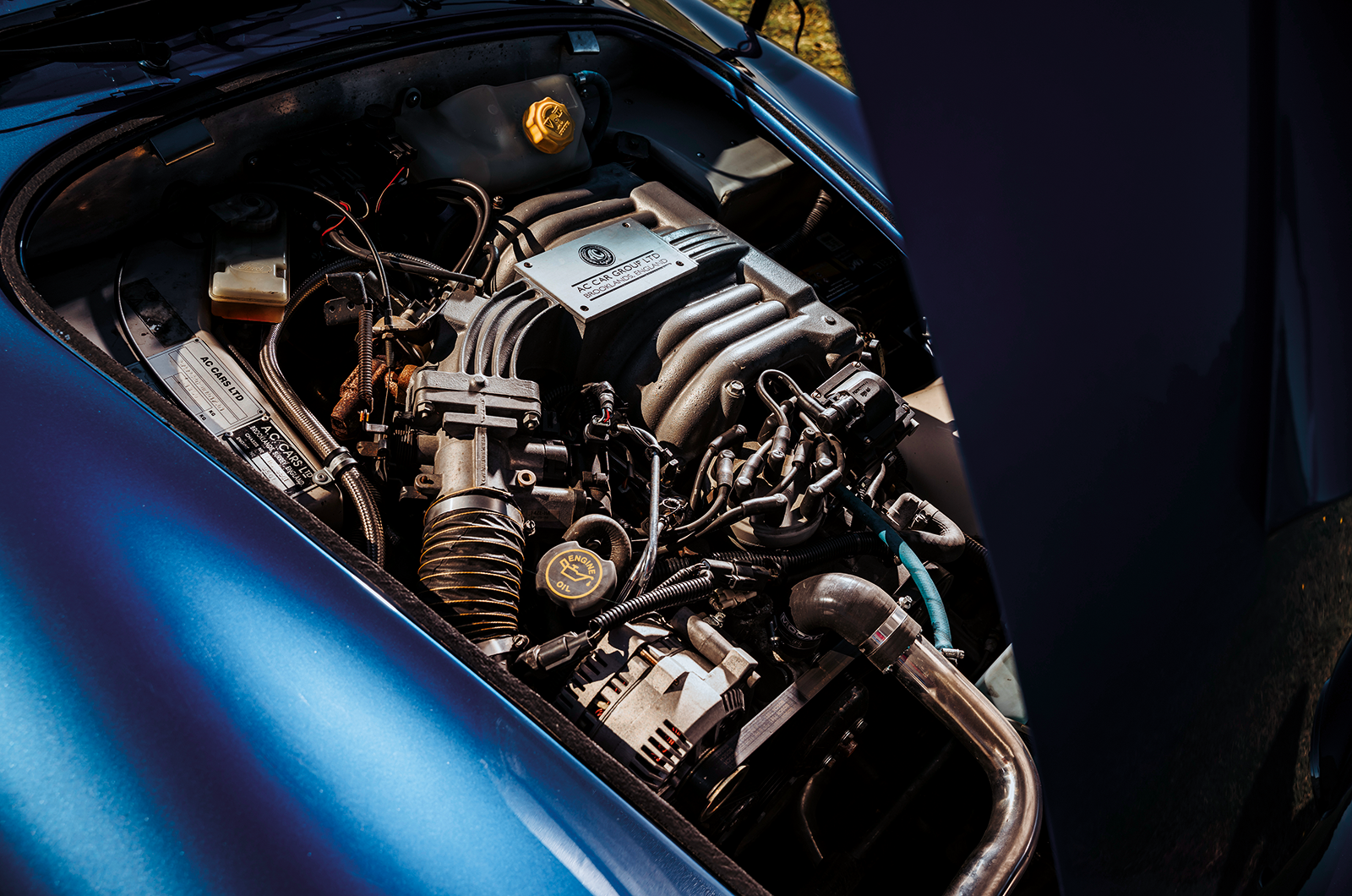 Classic & Sports Car – Cobra: the beat goes on