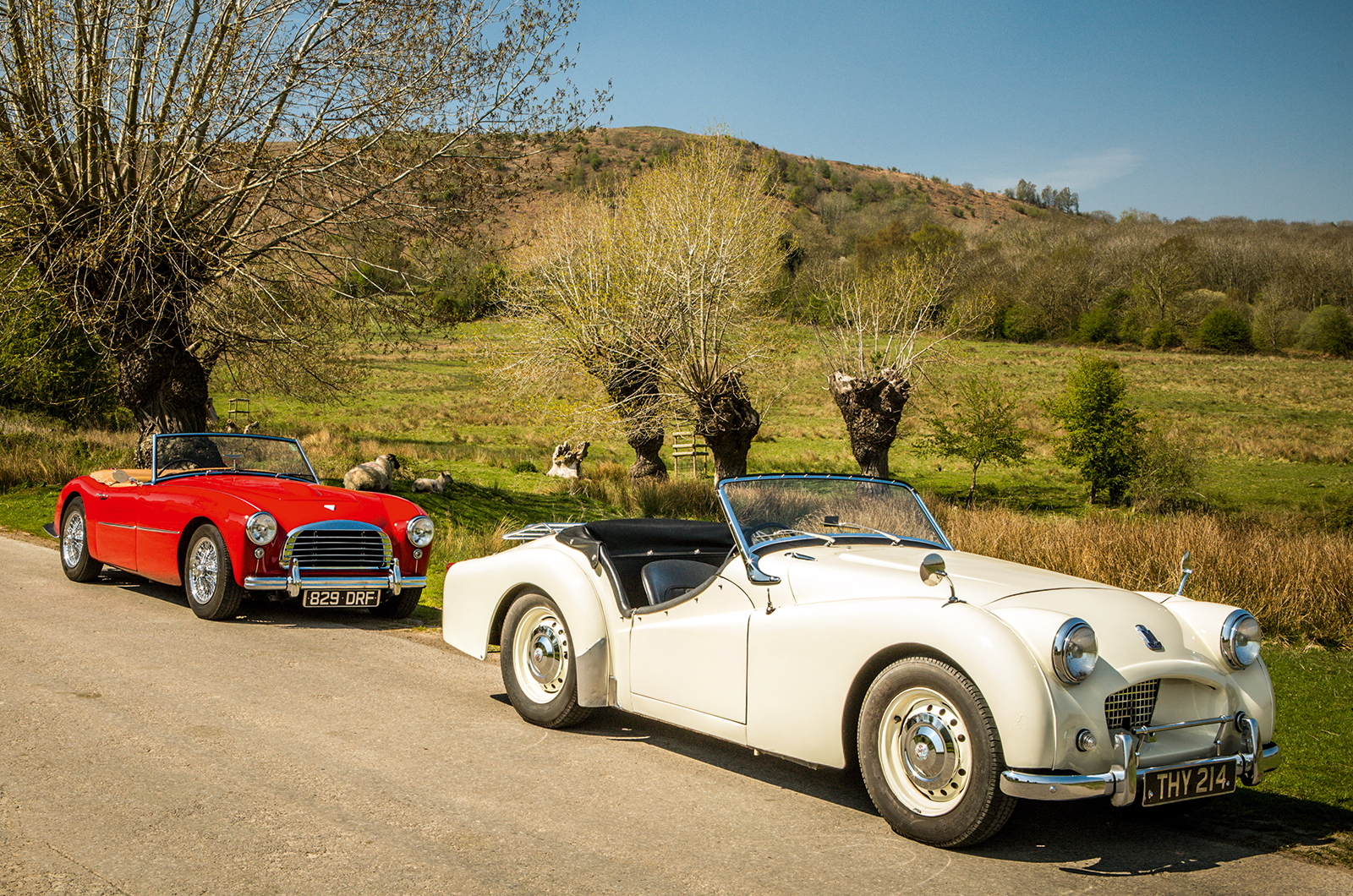 Classic & Sports Car – Triumph TR2 vs Swallow Doretti: genetic engineering