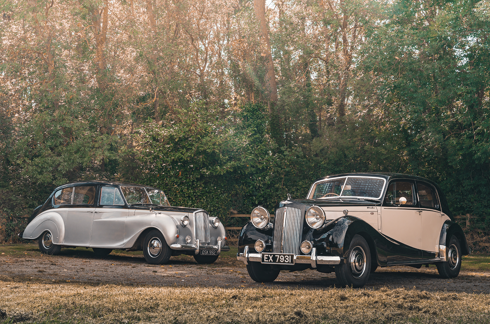 Classic & Sports Car – Austin Sheerline vs Vanden Plas Princess: the Longbridge Daimlers