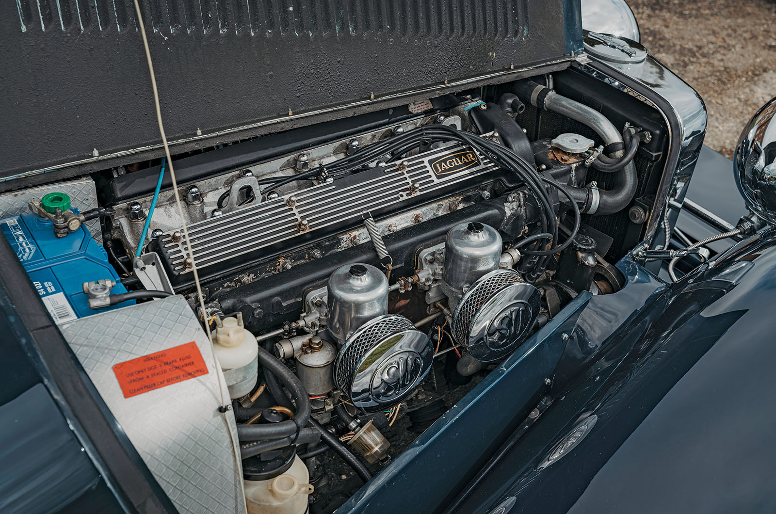 Panther J72, De Ville, Rio, Lima and Kallista: family of felines