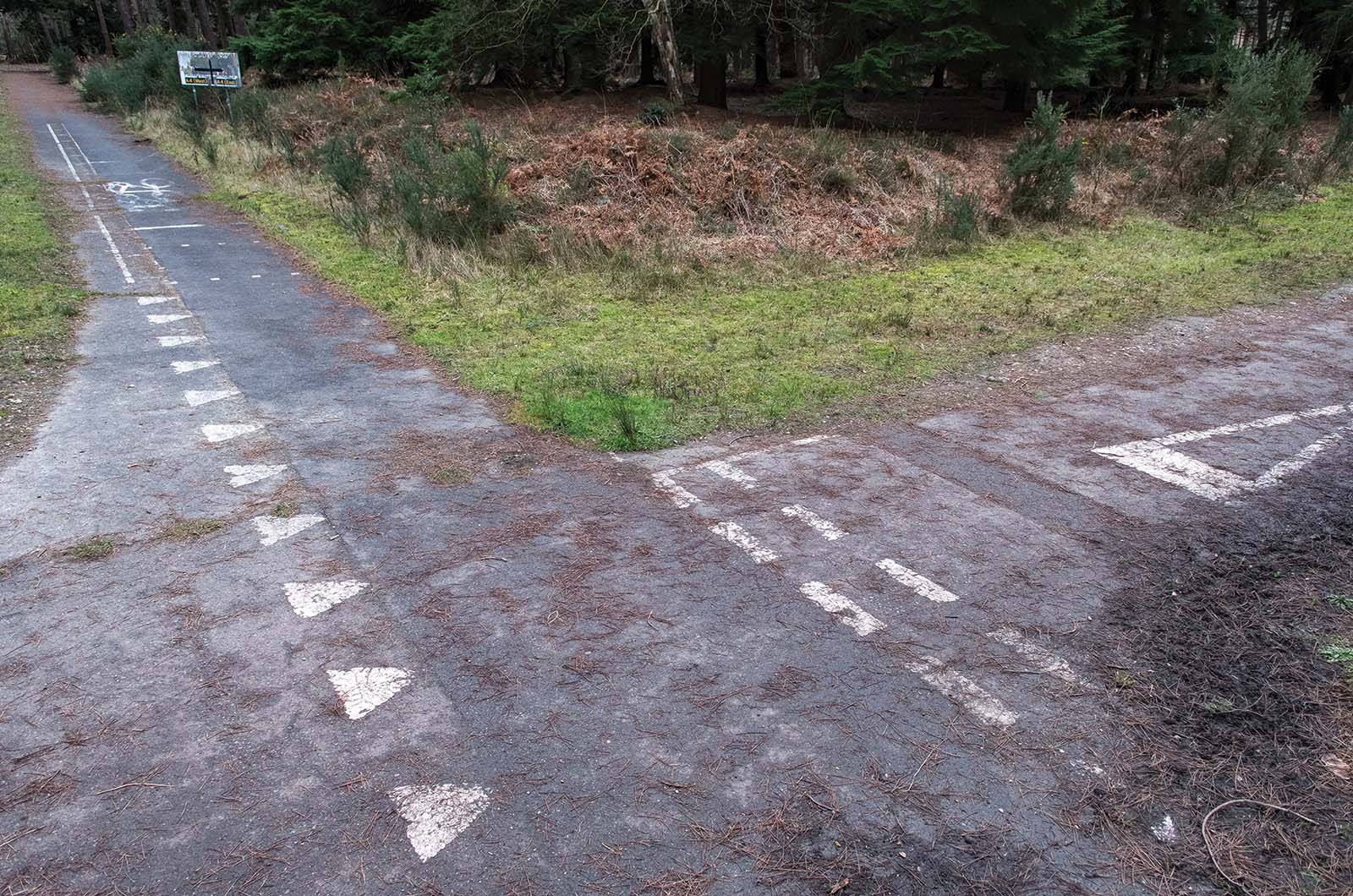 Classic & Sports Car – Self-driving Citroën DS: Britain’s 1960s pioneer