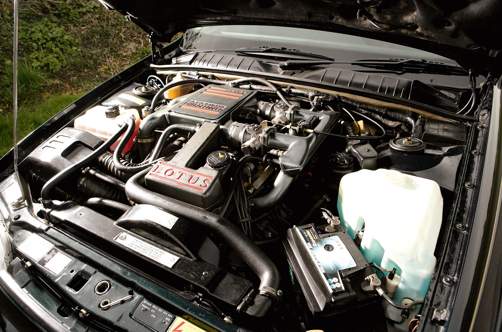 Classic & Sports Car – Lotus Carlton vs Lancia Thema 8.32: looks can be deceiving