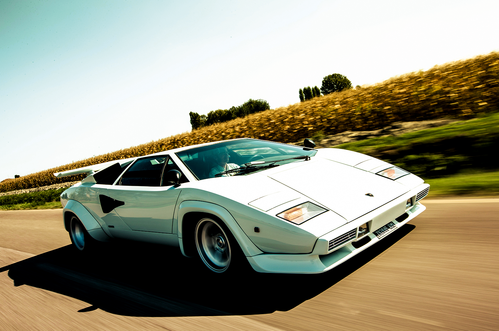 10 wheely iconic rims | Classic & Sports Car