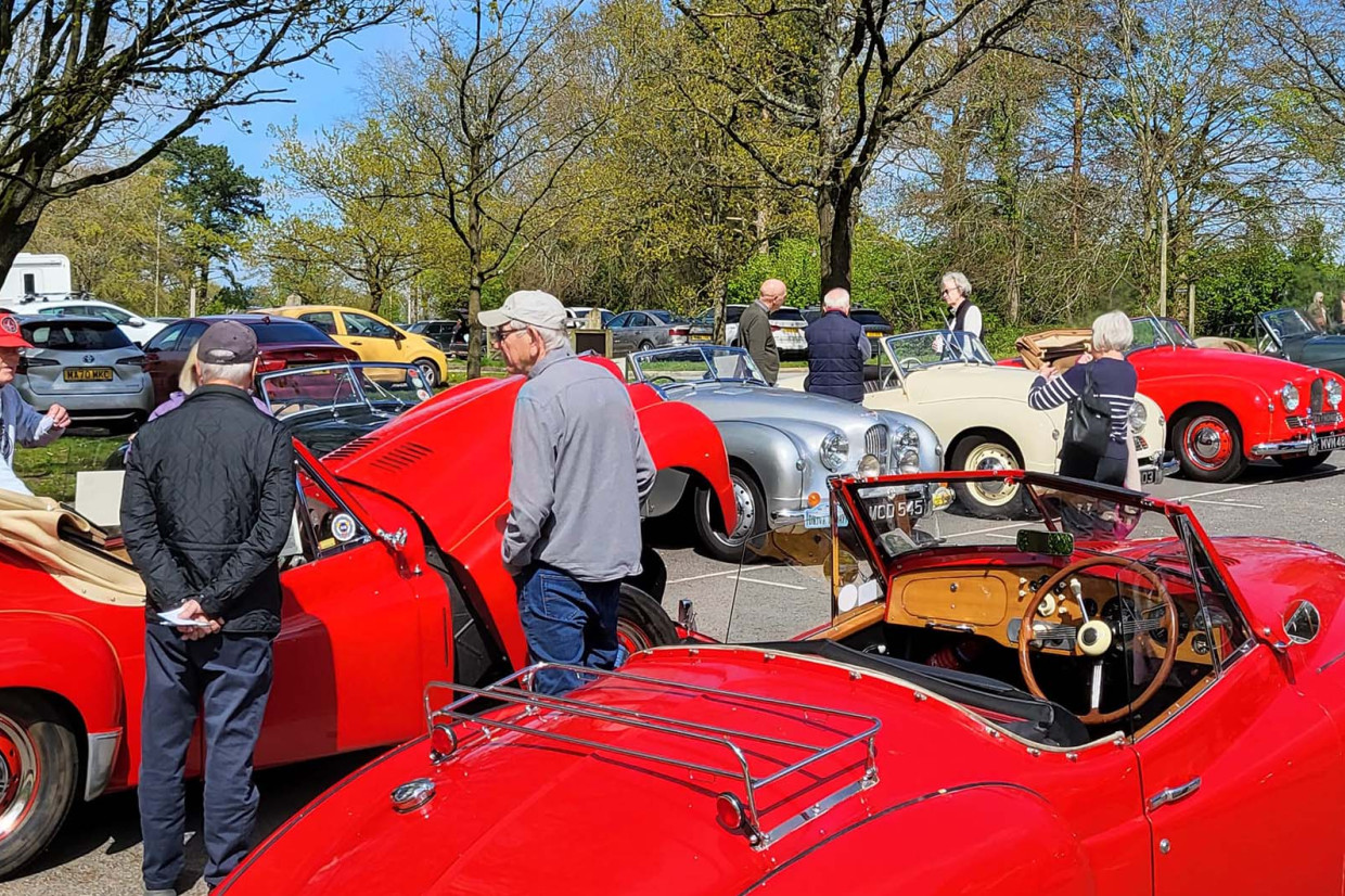 Classic & Sports Car – Jupiter Owners’ Auto Club Drive It Day display