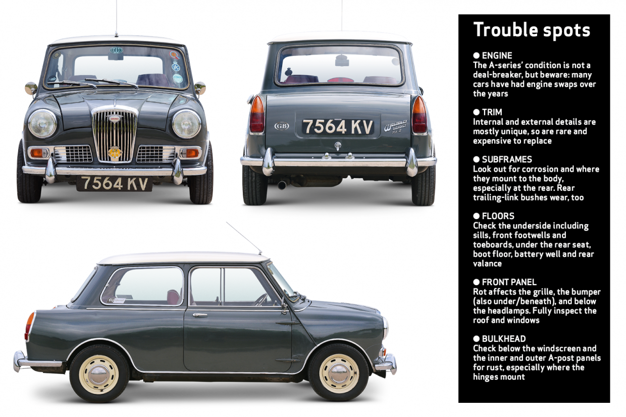 Classic & Sports Car – Buyer’s guide: Riley Elf and Wolseley Hornet