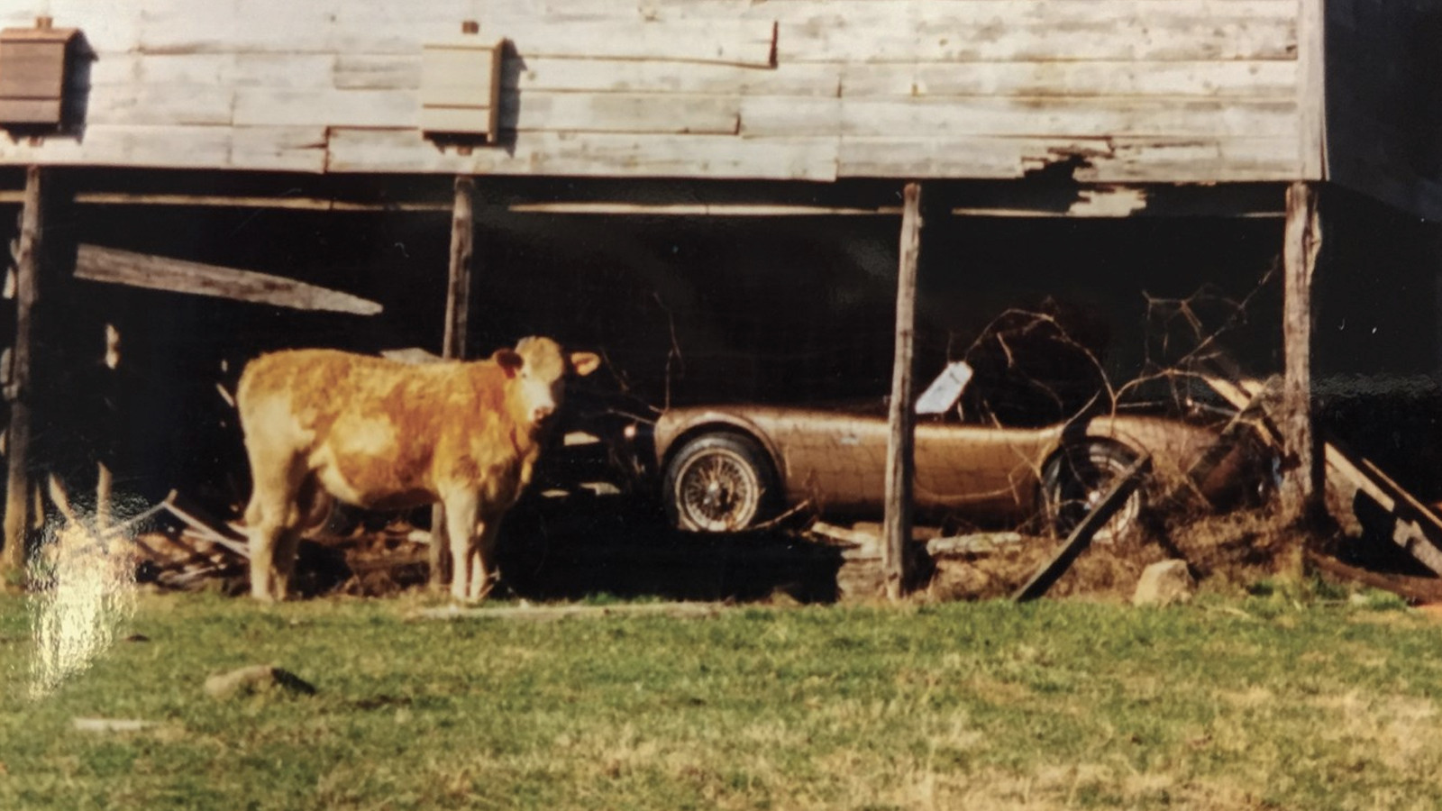 ‘90s barn-find Cobra set to fetch $1m at RM Sotheby’s Amelia Island auction 
