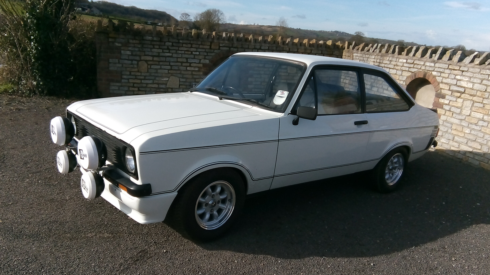 20 Fast Fords for sale at auction