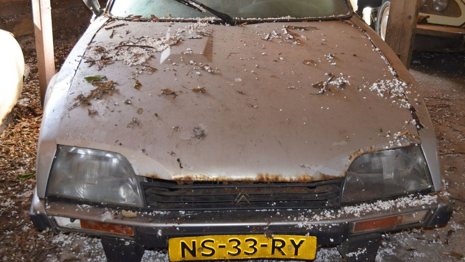 This is what 148 Citroën CXs in a barn looks like