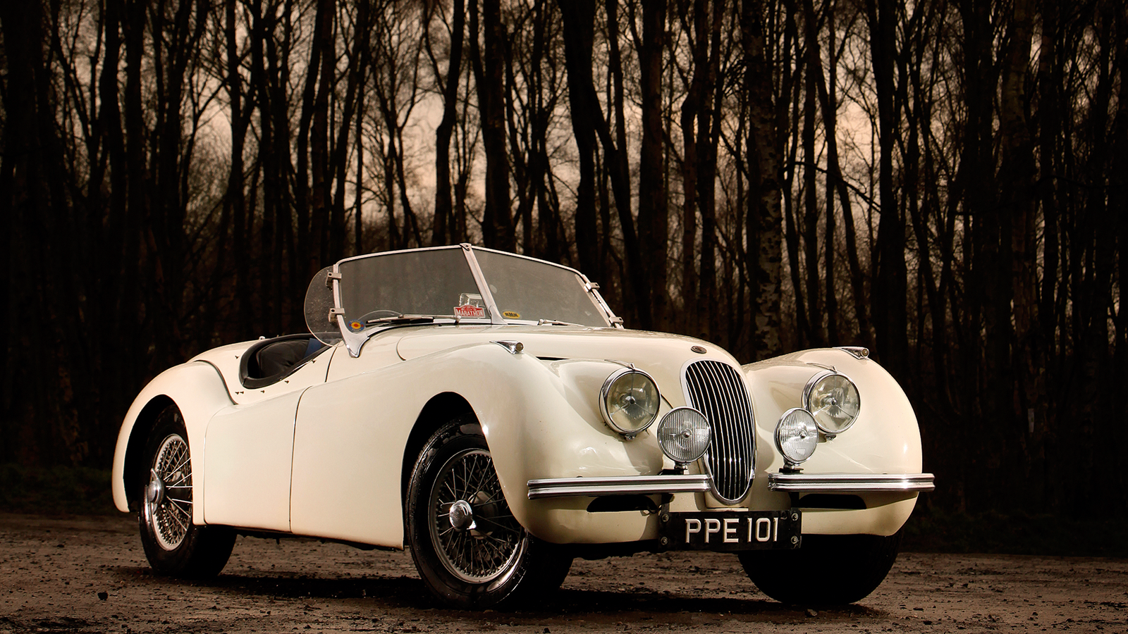 13 stunning photos from our new Jaguar Greatest Hits special