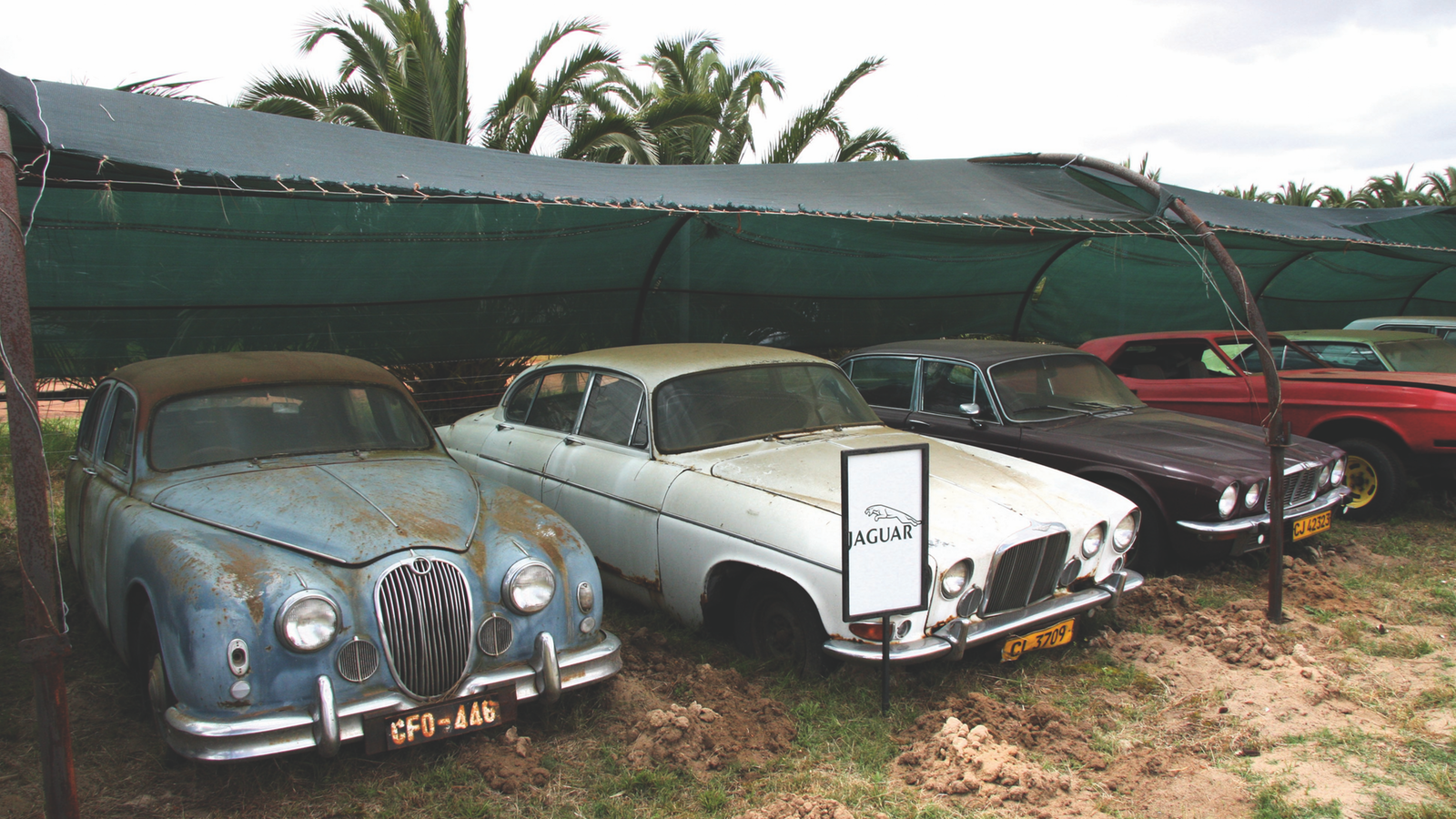 The problem with collecting cars – and how to do it right