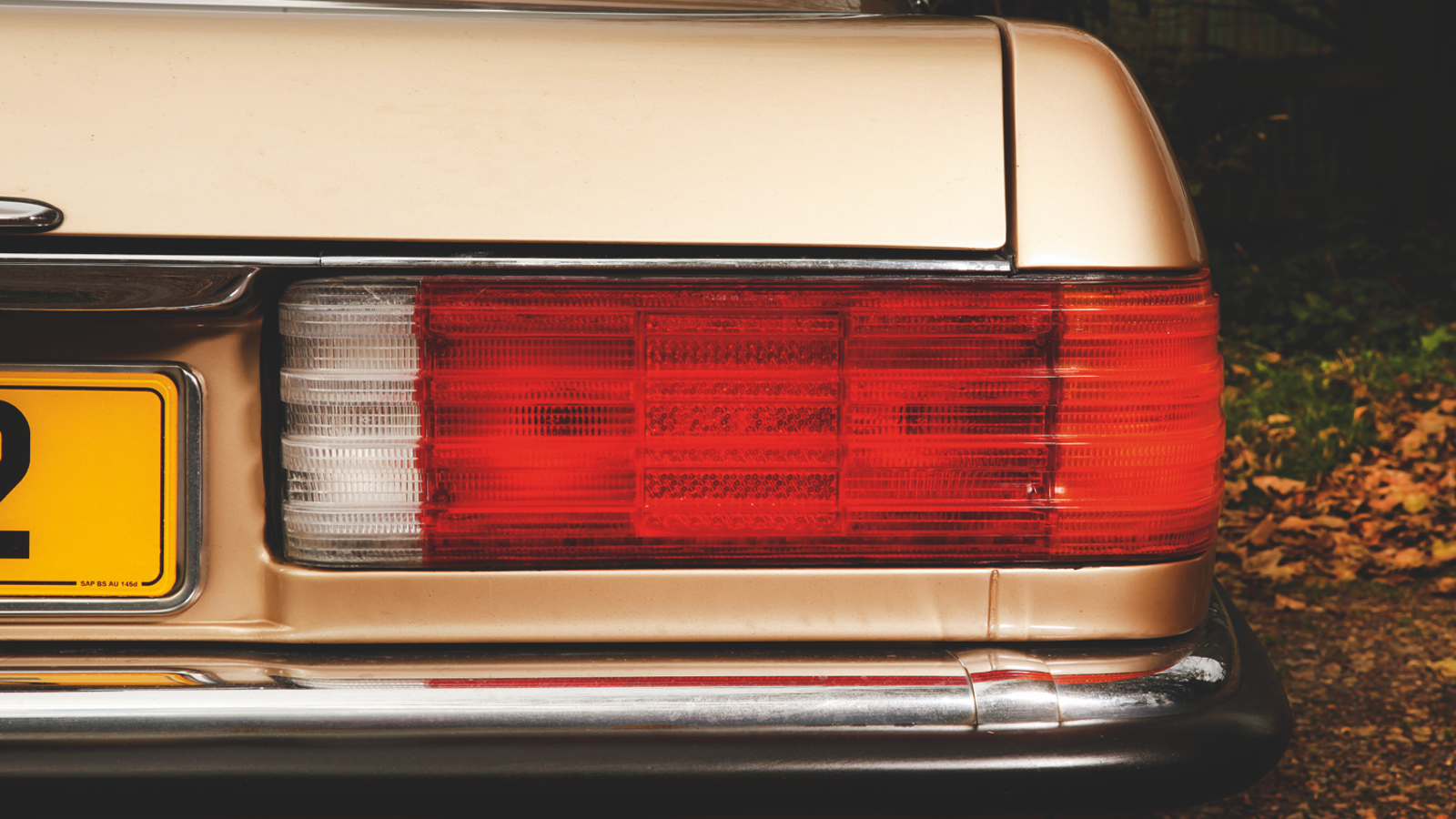 Sports cars for the family: classic GTs with four seats