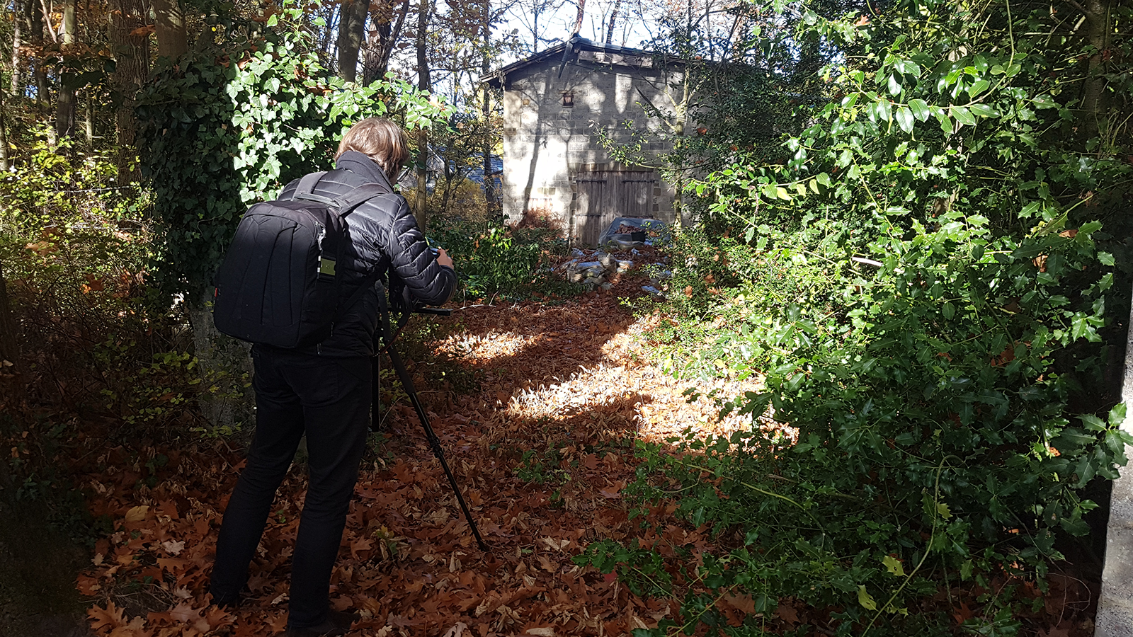 Breathtaking Bugatti trio rescued from Belgian barn