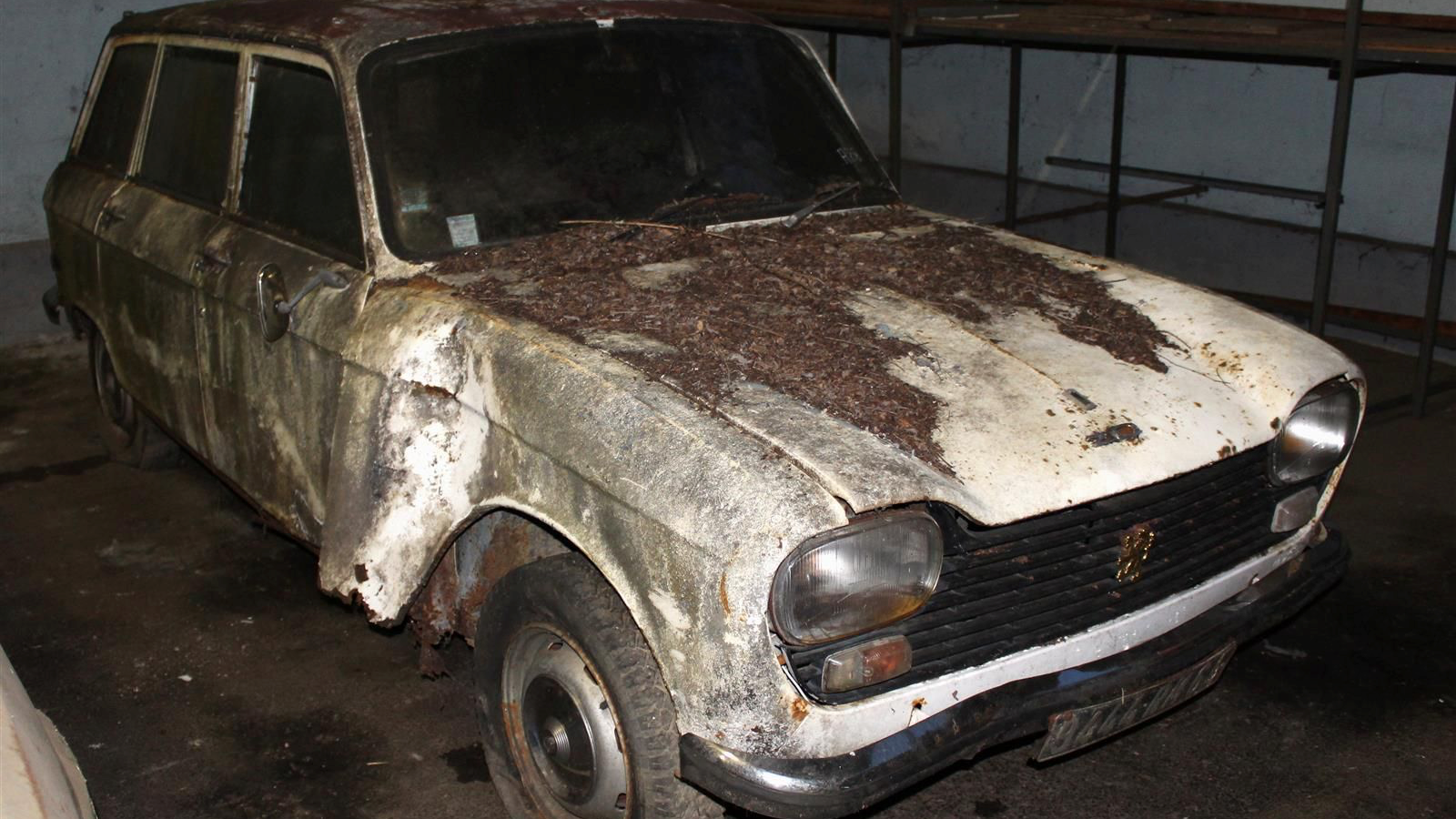 81 dusty classics unearthed in bumper French barn-find