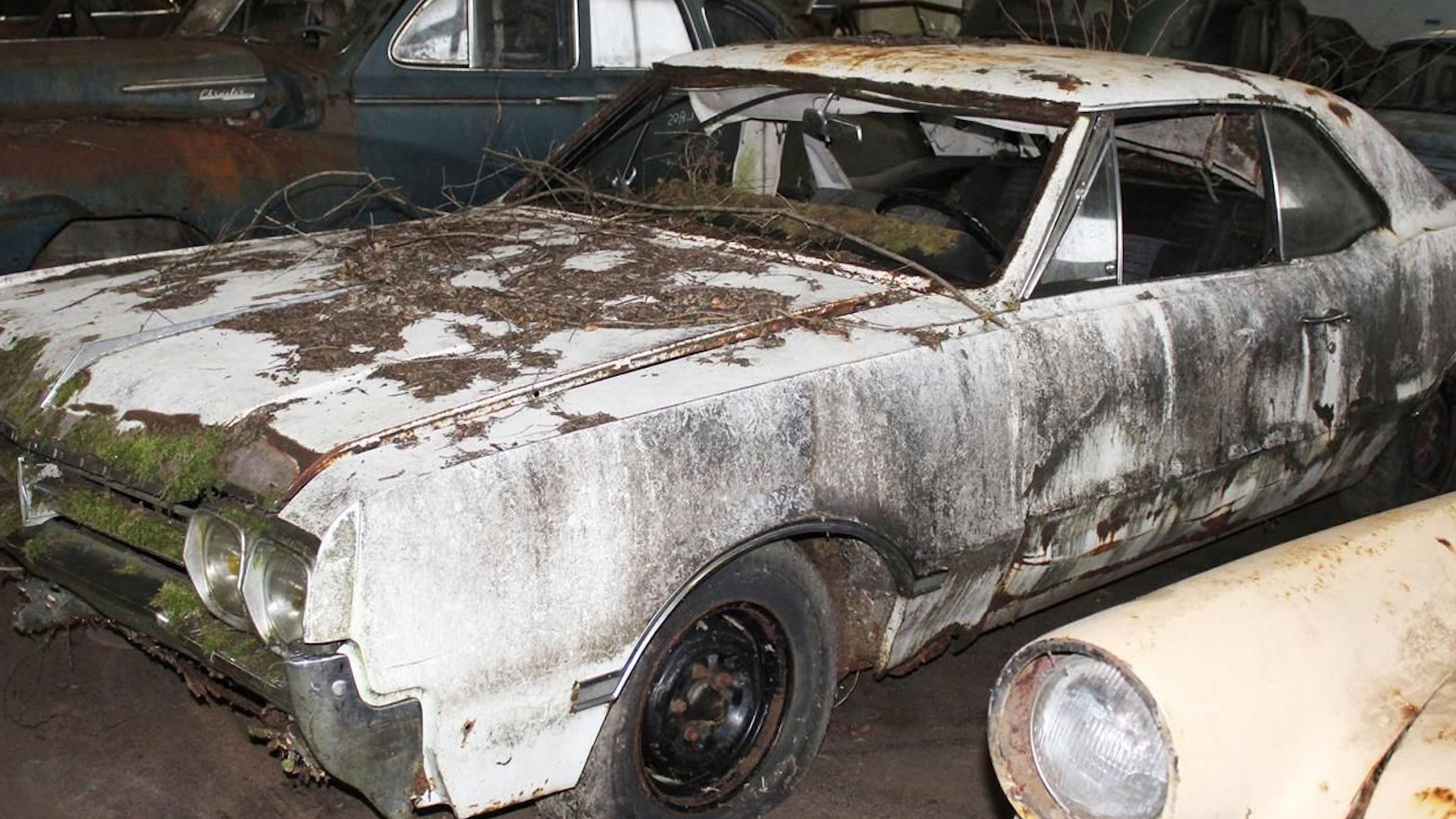 81 dusty classics unearthed in bumper French barn-find