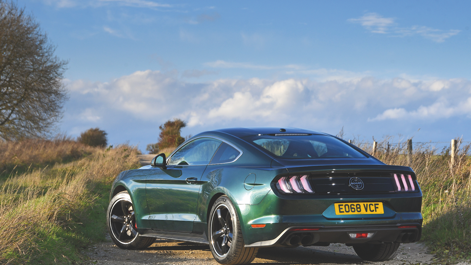 Future classics with investment potential