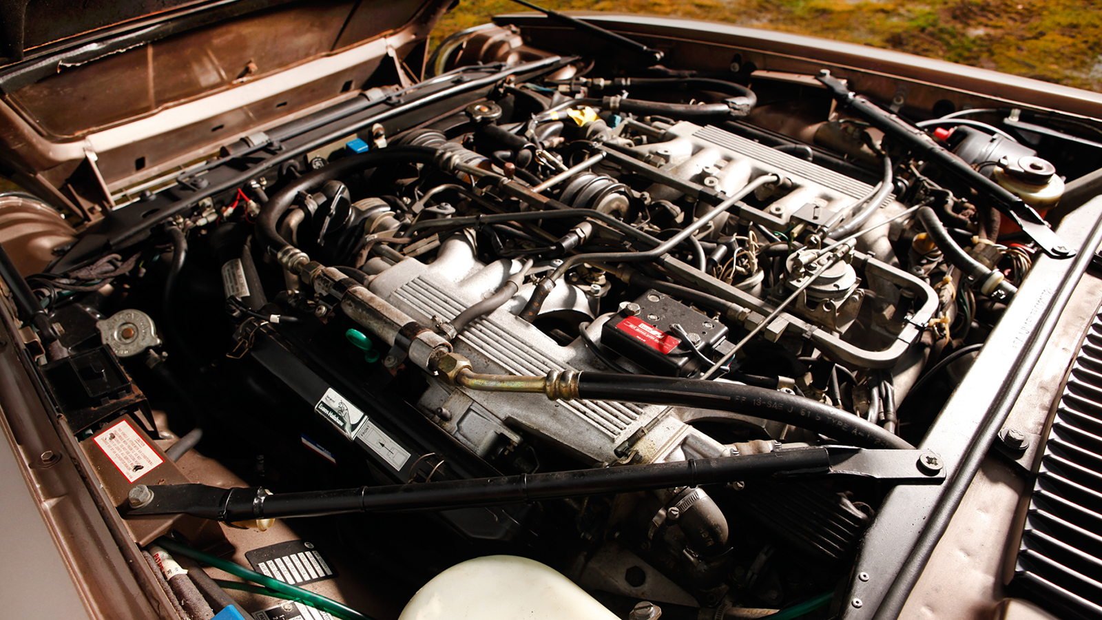 V12s for under £20k