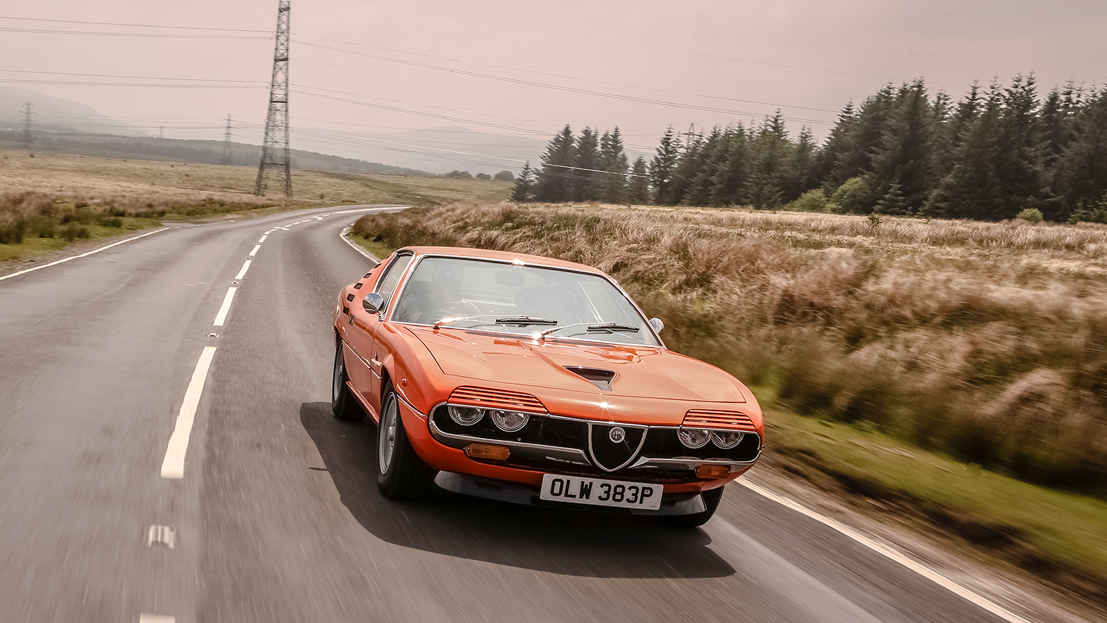 12 European classics that deserve a home in Britain