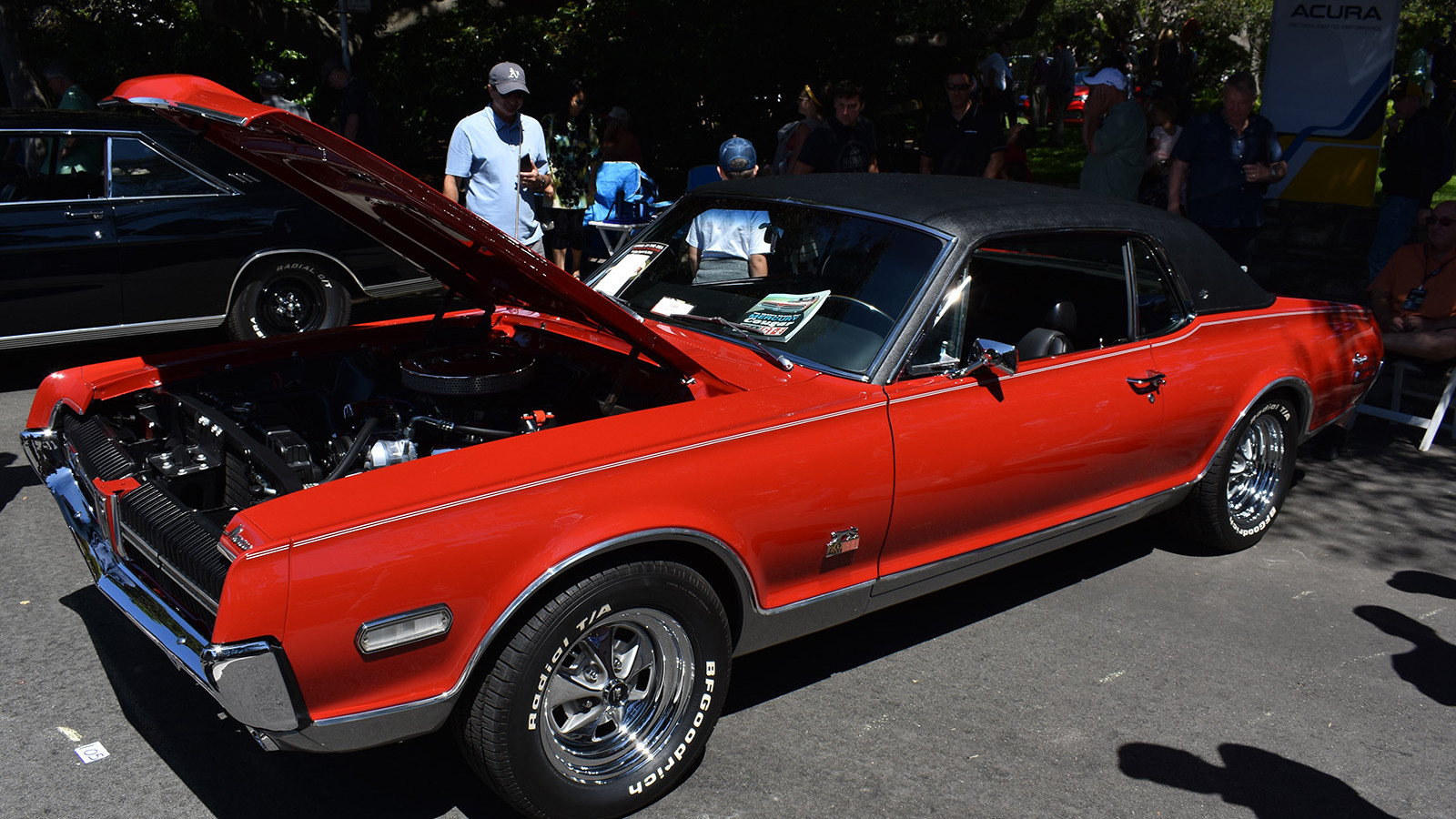 Big cat with more roar