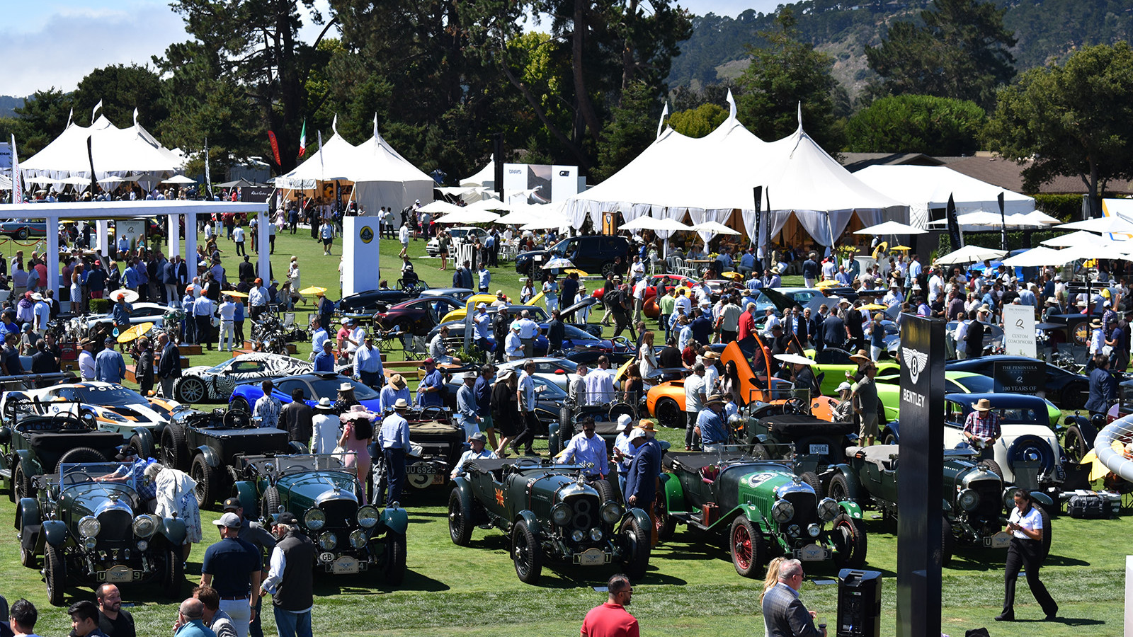 100 not out for Bentley