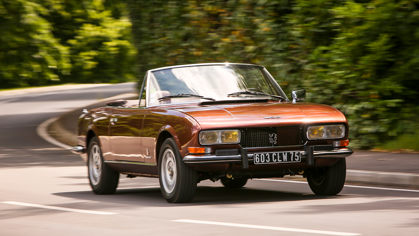 11 European classics that deserve a home in Britain