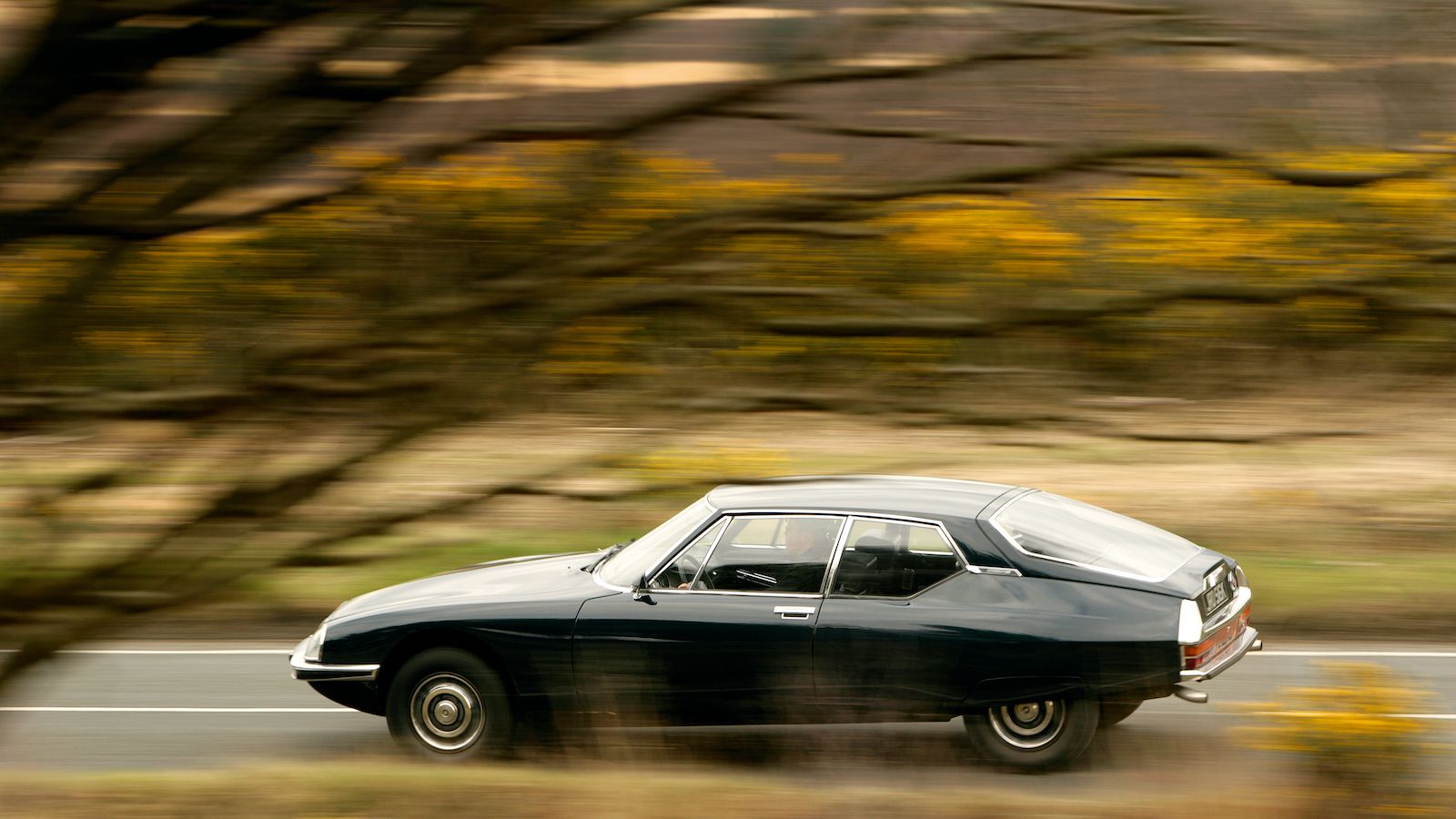 25 classics that turned 50 in 2020