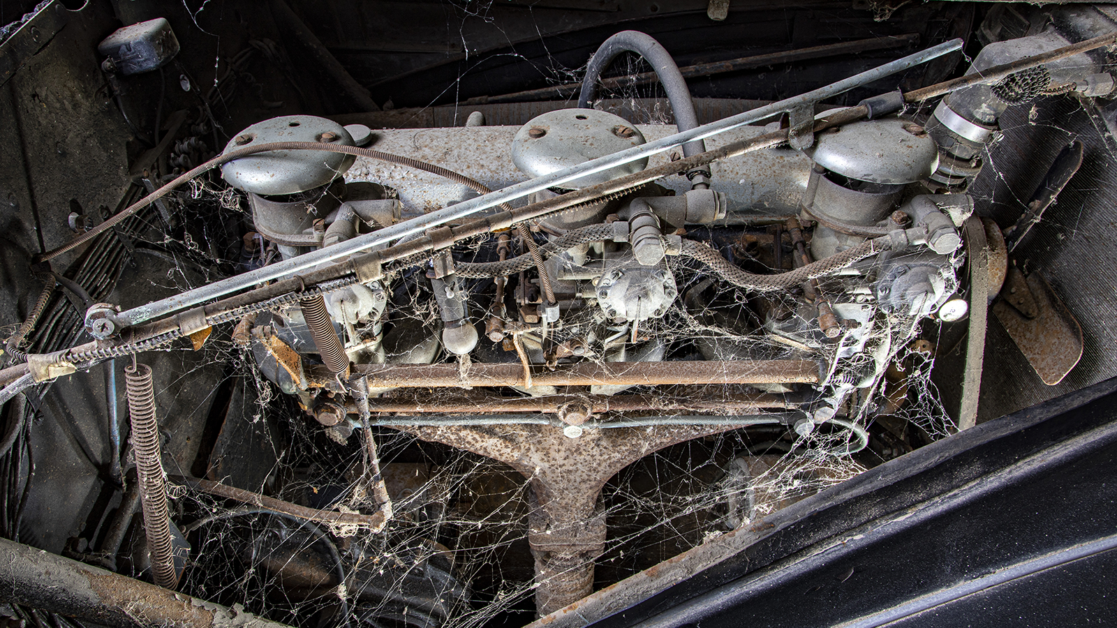 Former show queen (contd.)