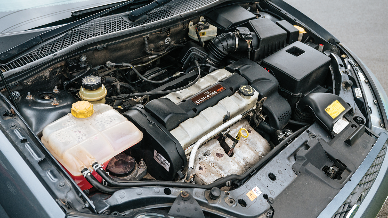 60 years of Fast Fords