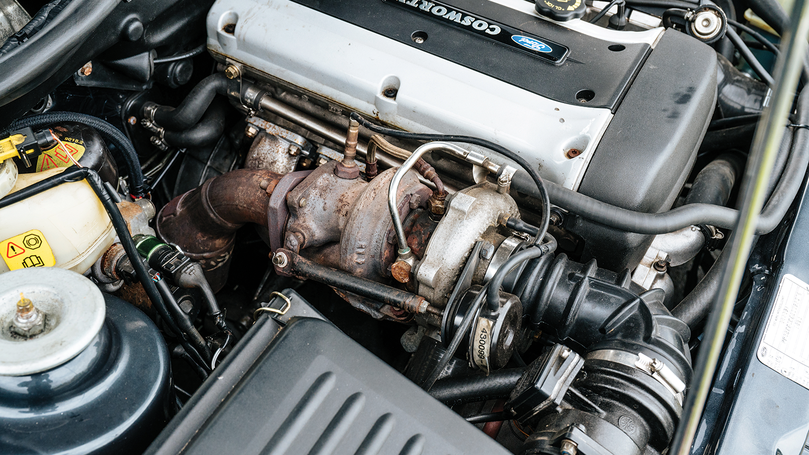 60 years of Fast Fords