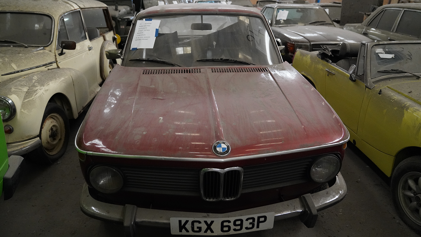 BMW babies up for grabs
