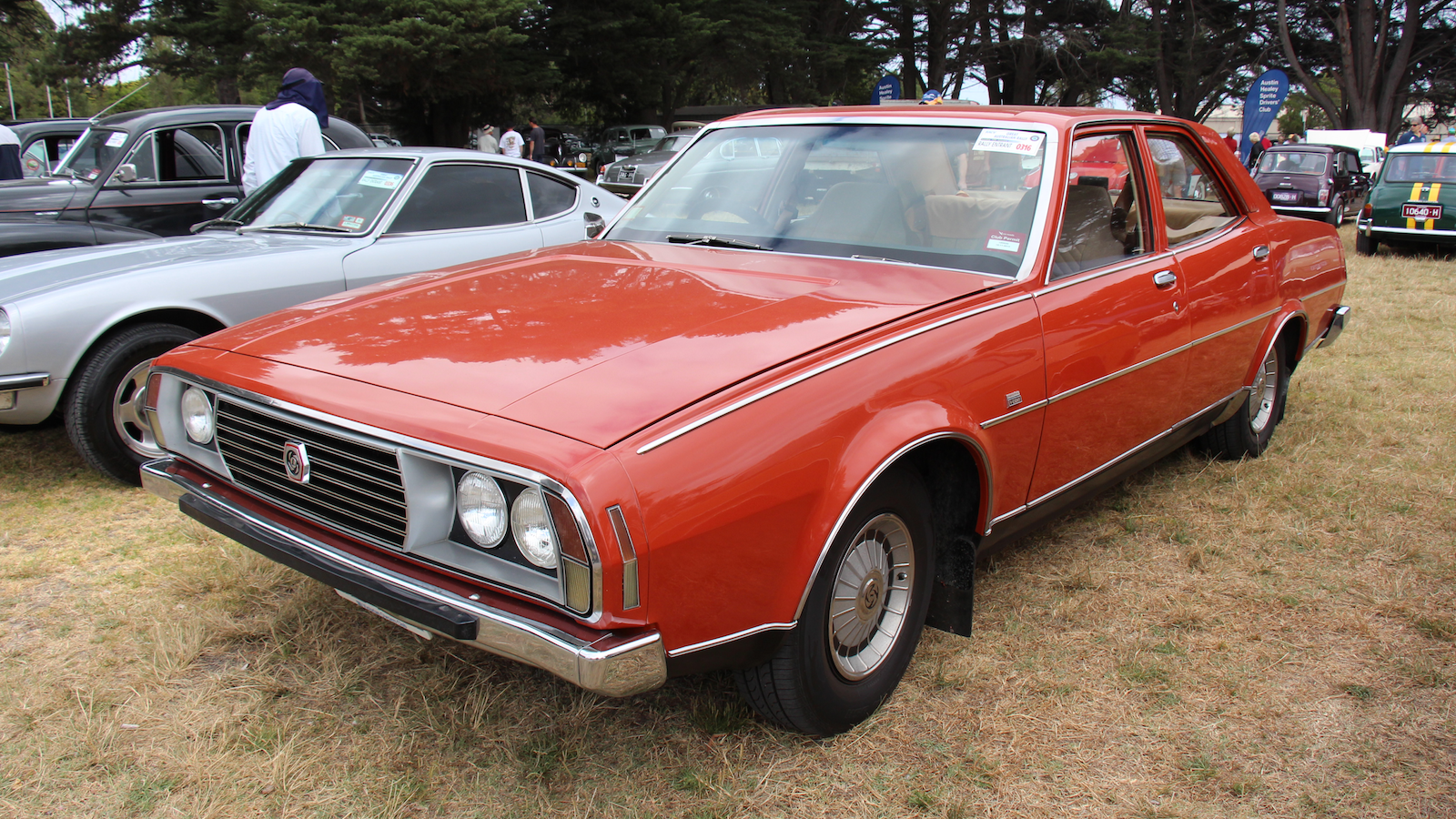 24 classic Michelotti designs