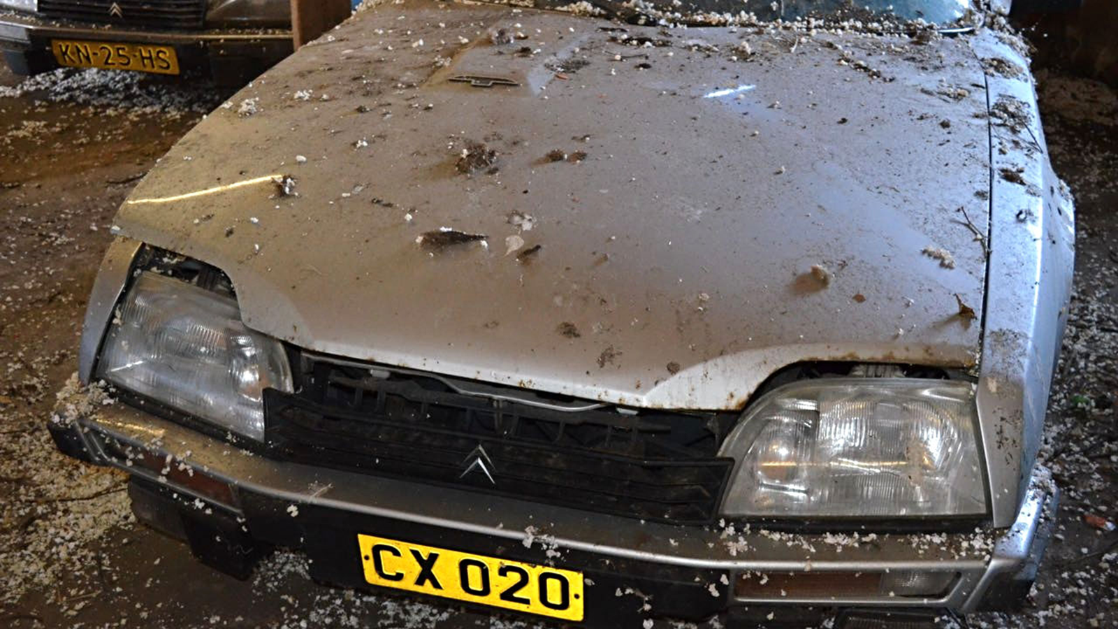 This is what 148 Citroën CXs in a barn looks like