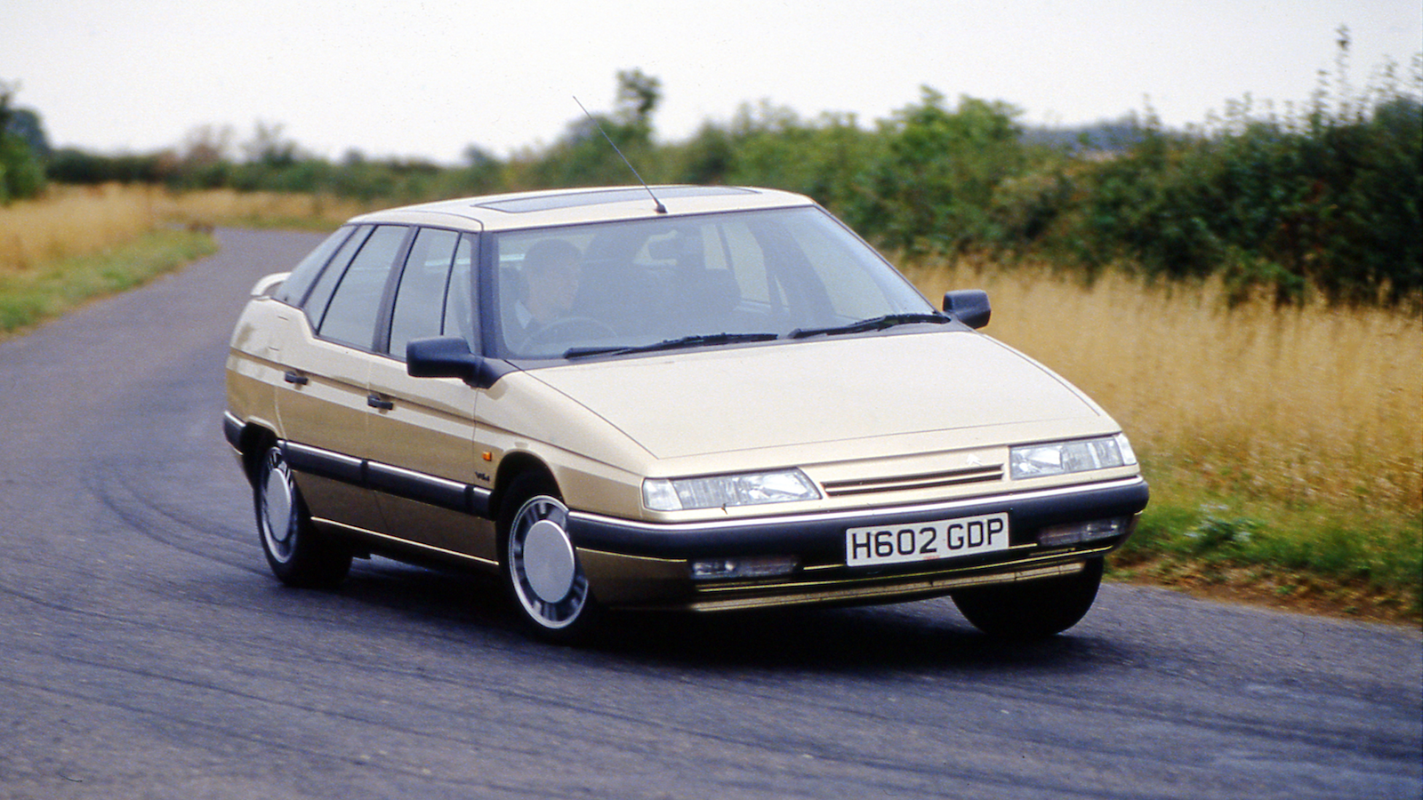 COTY winners and losers