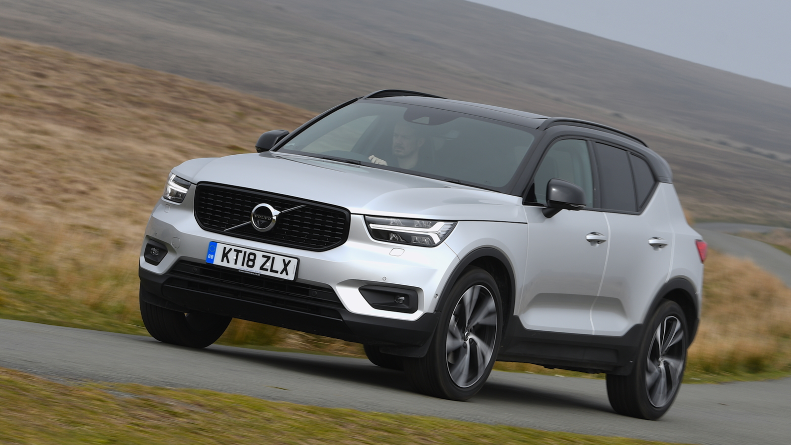 COTY winners and losers