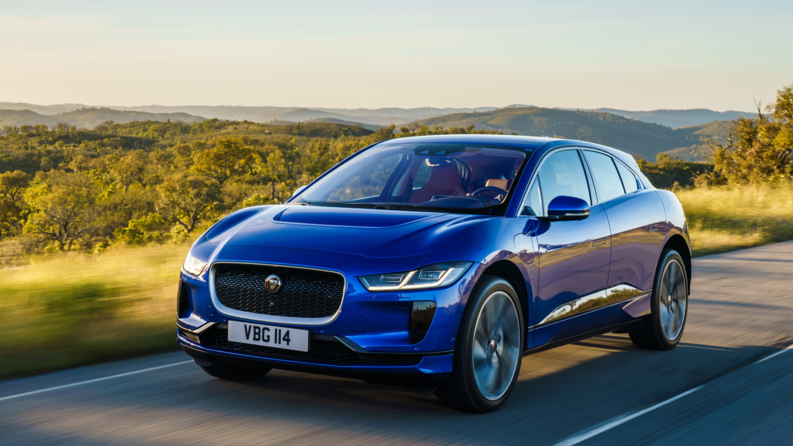 COTY winners and losers