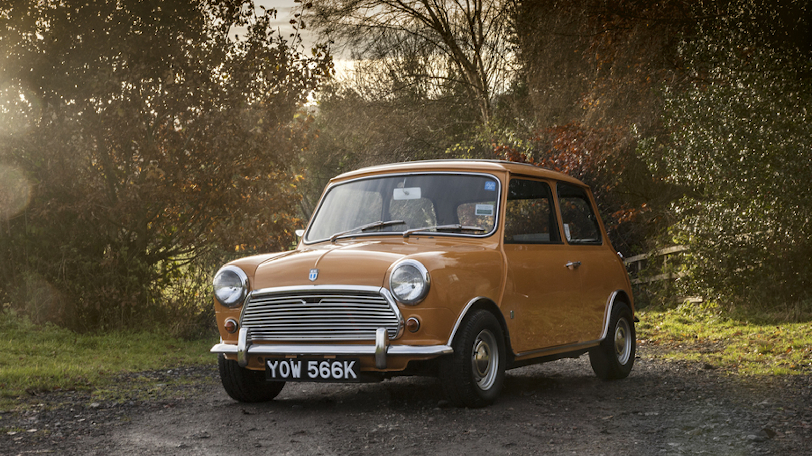 Cars built for only one year