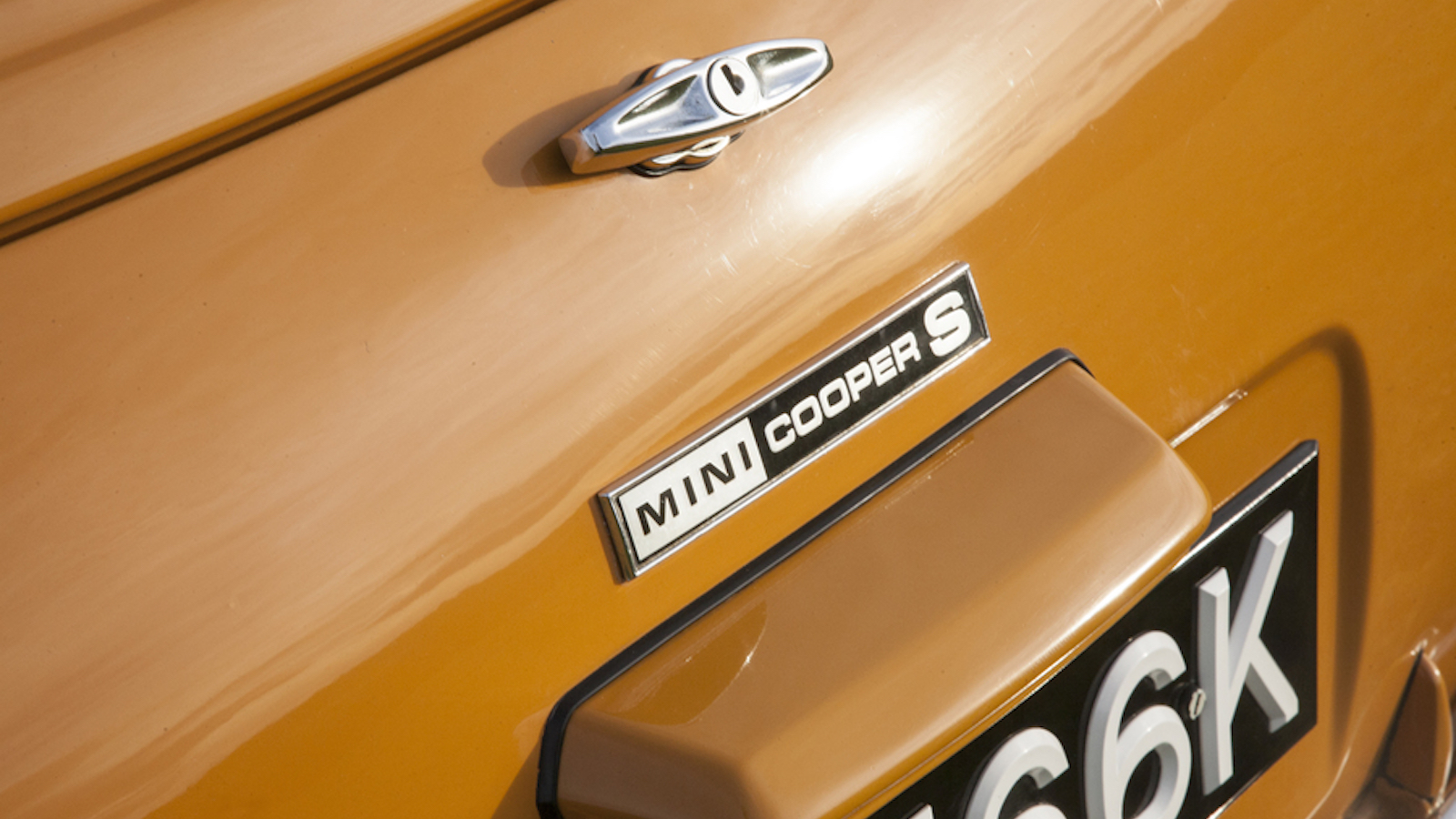 Cars built for only one year