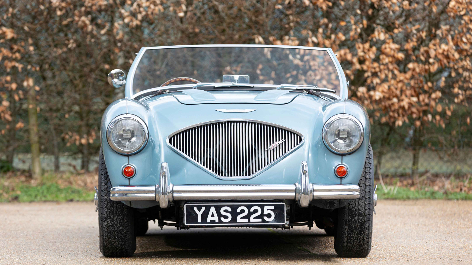 11. 1956 Austin-Healey 100M Le Mans (€63,500-86,500)