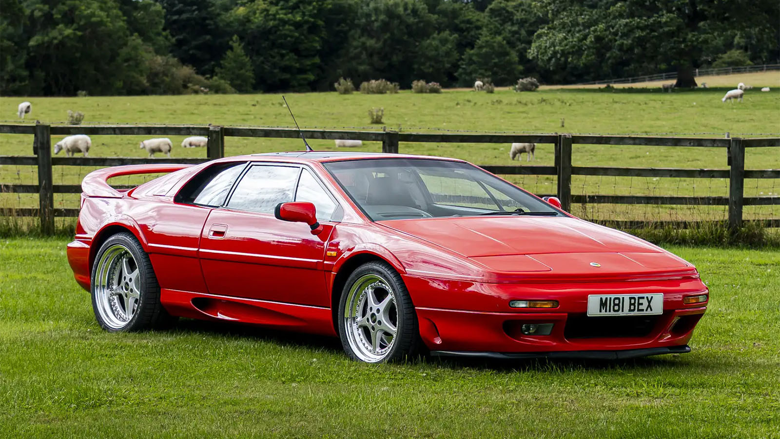 23 striking classics for sale at Silverstone Festival 2025